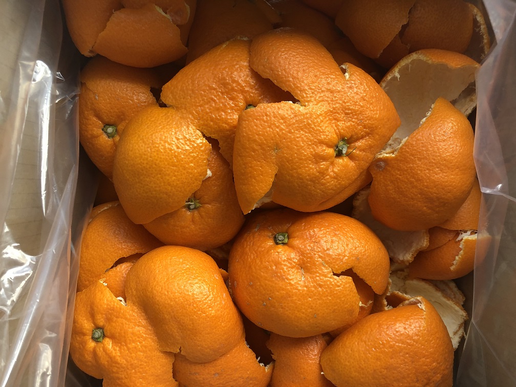 みかんの皮を、業務用として販売中