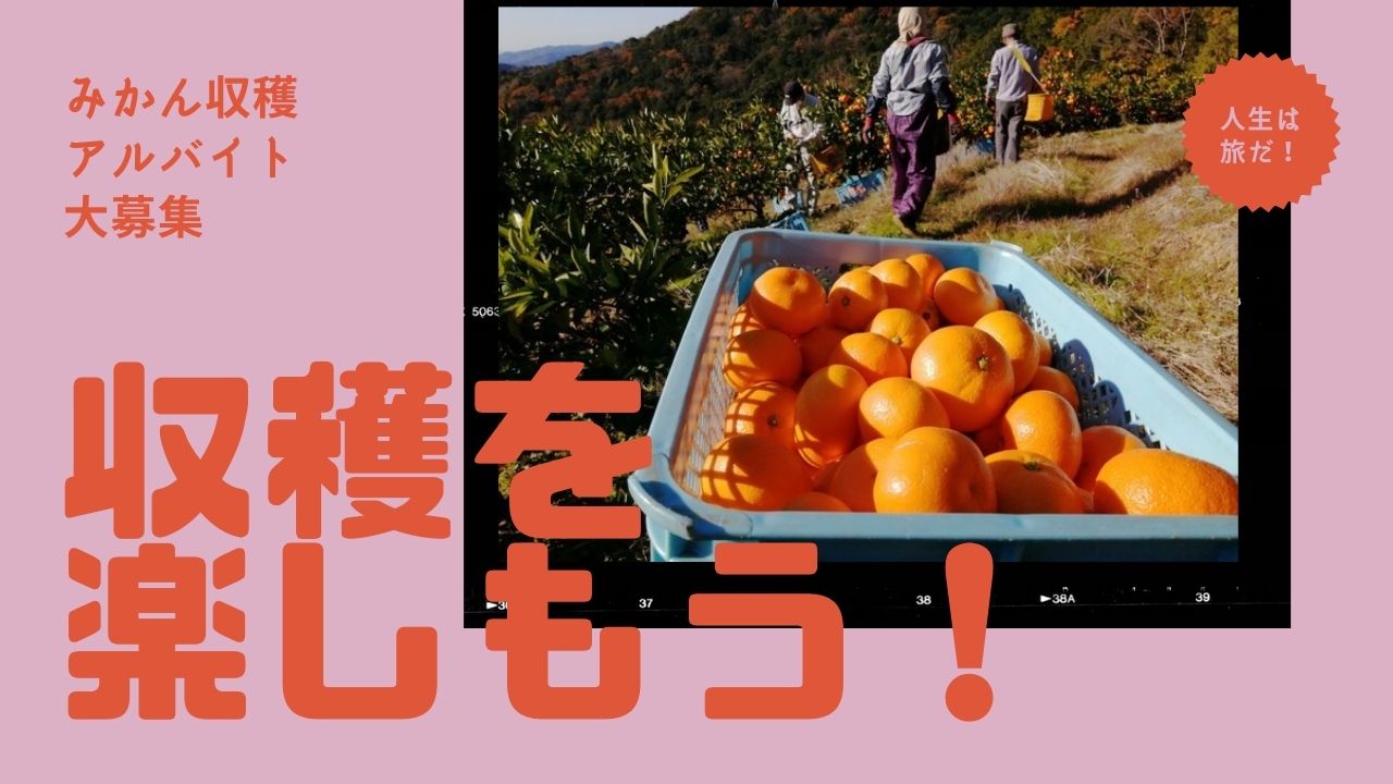 収穫を楽しもう！！