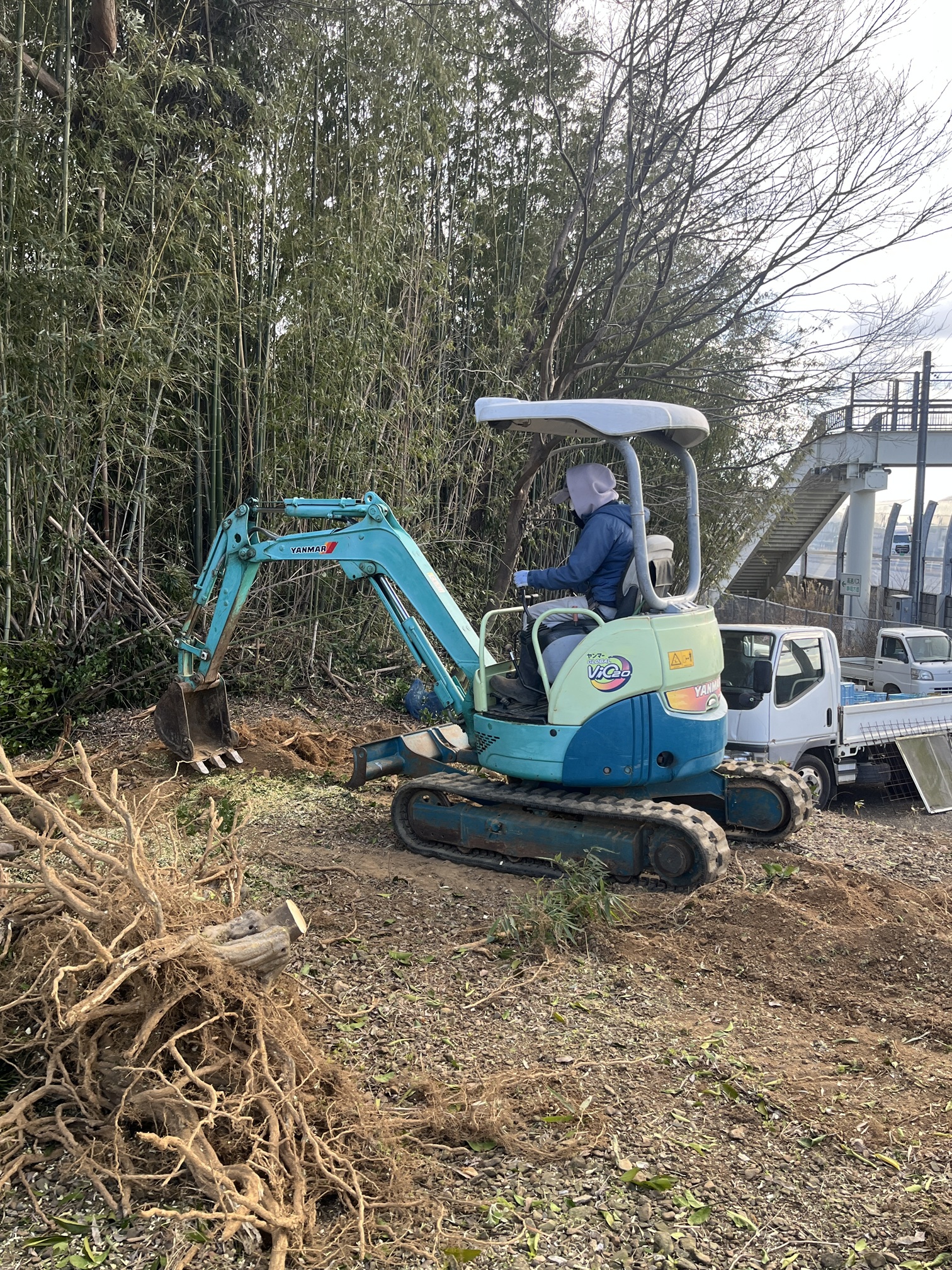 耕作放棄地から、未来のみかん畑へ