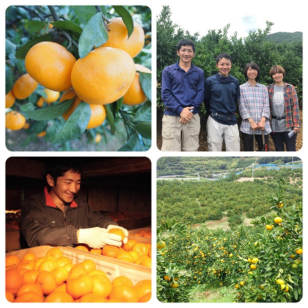 げんこつハンバーグの炭焼きレストランさわやかでお取り扱いあります