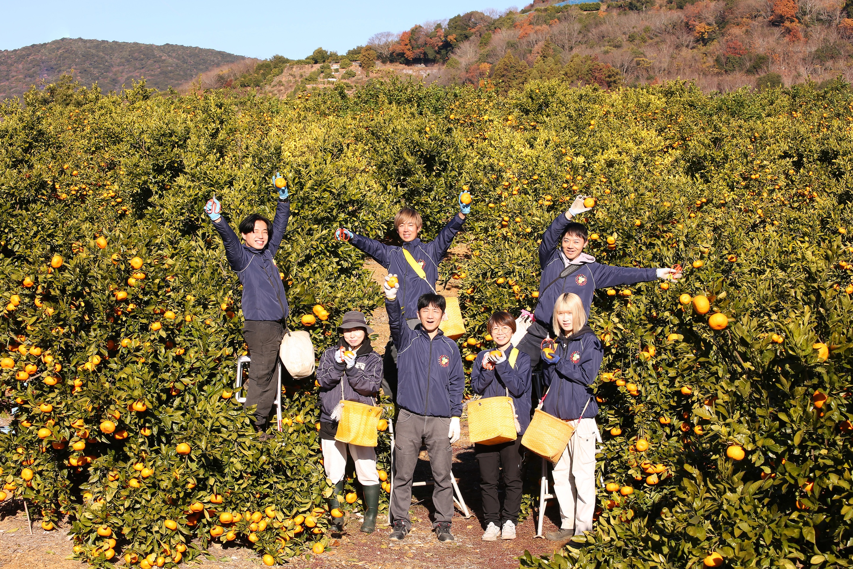 年内業務終了のご報告