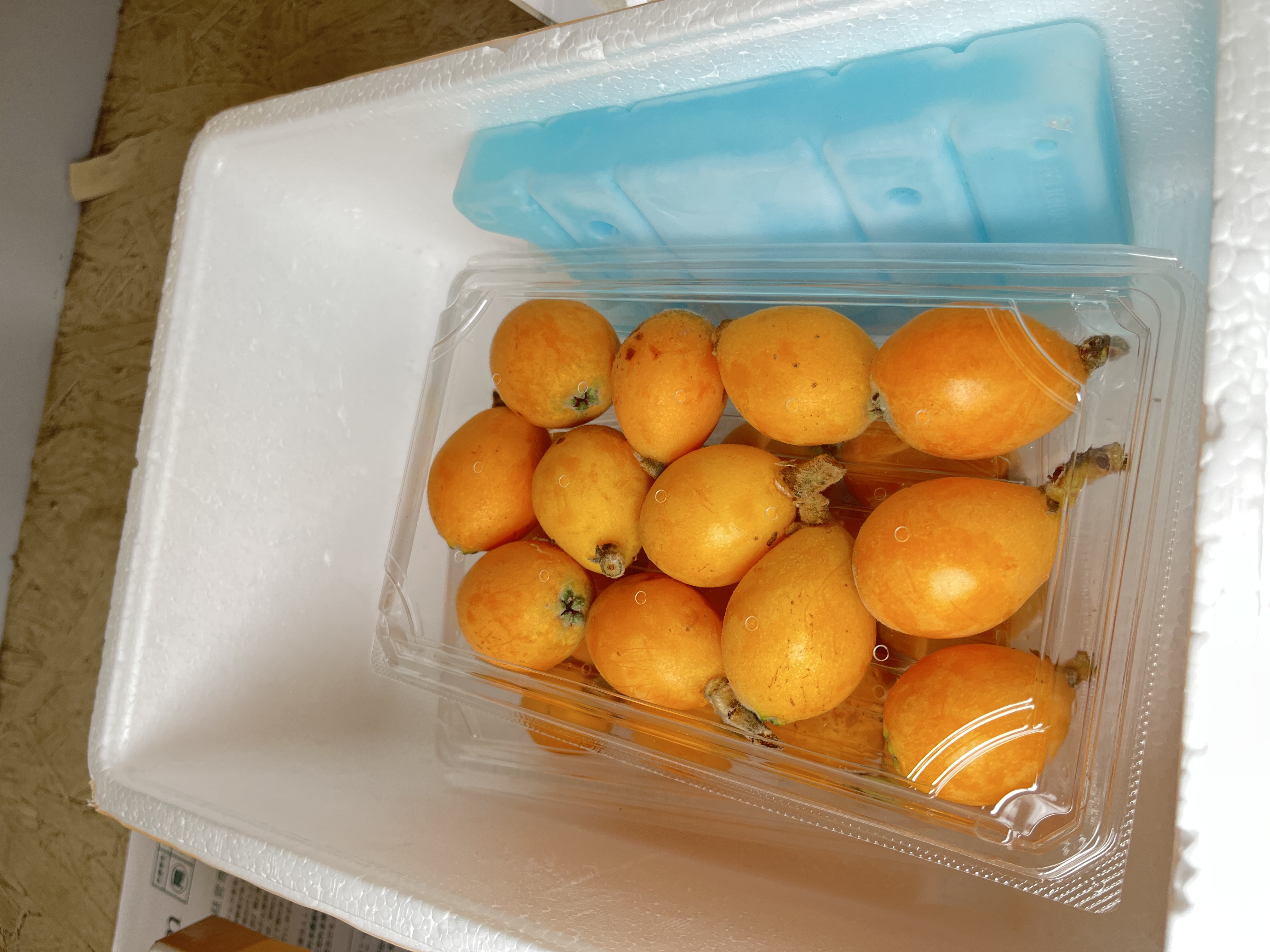びわとブルーベリーの販売が始まりました!