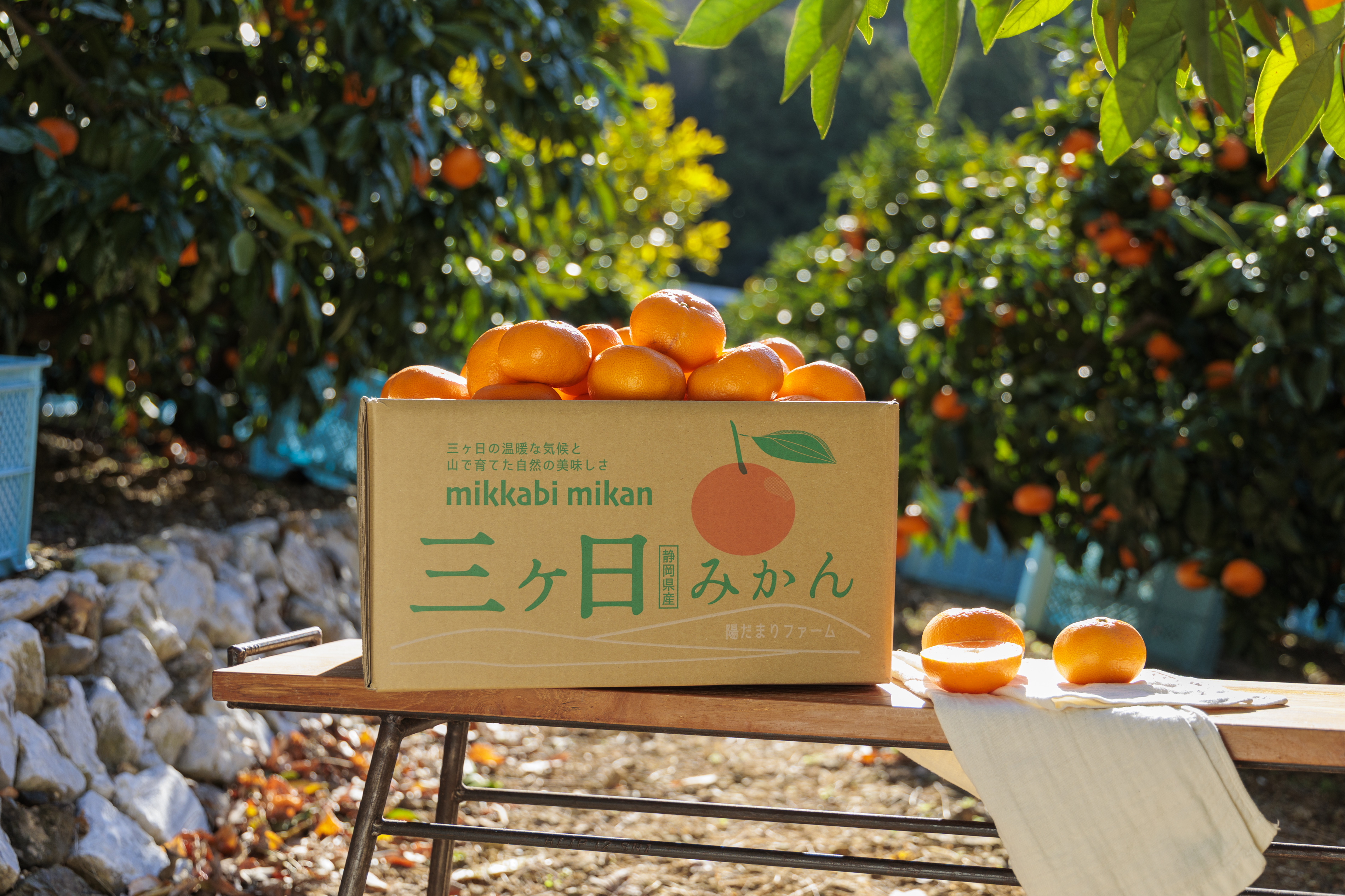 ふるさと納税　頼むなら今です！