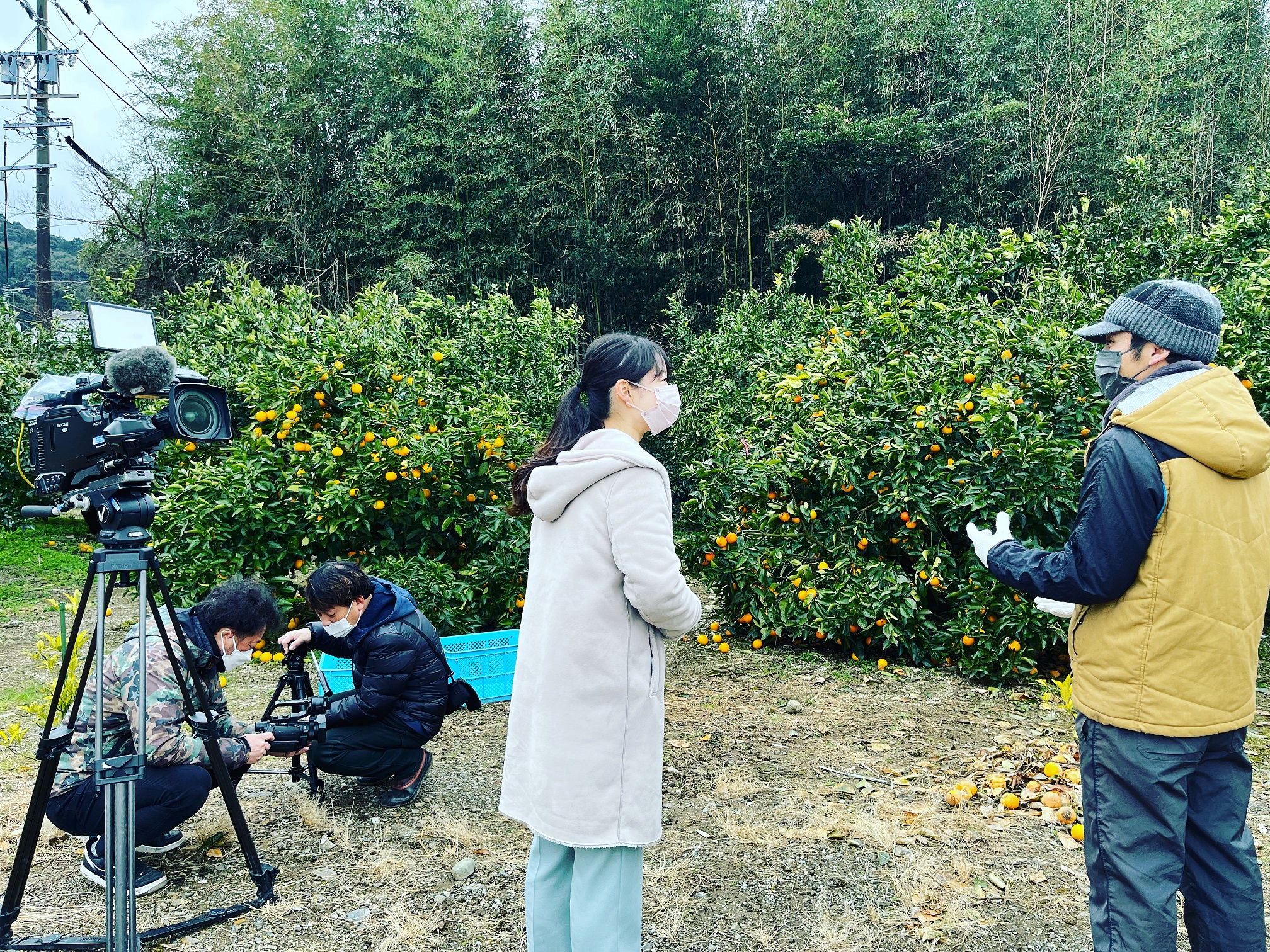 テレビ静岡の取材を受けました