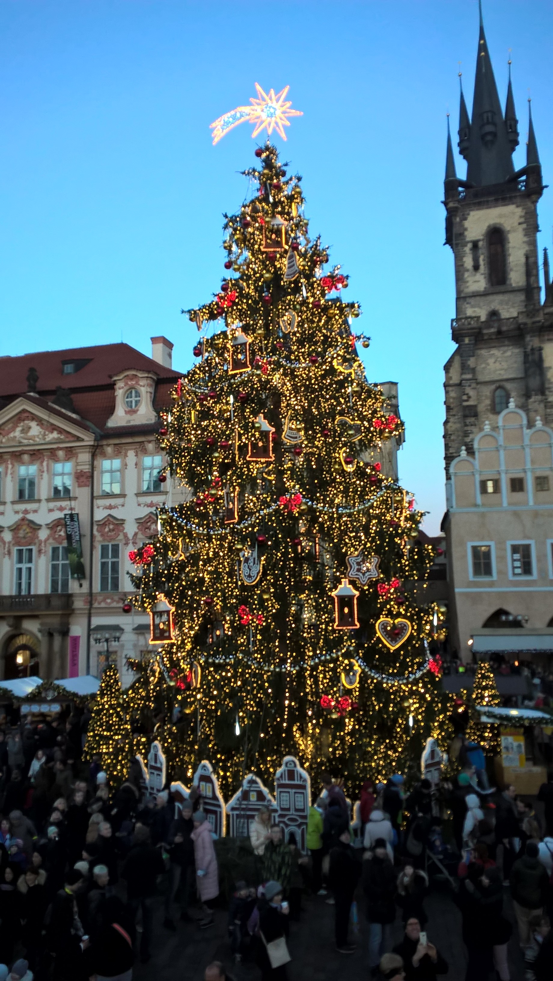 チェコ　プラハ　クリスマスツリー