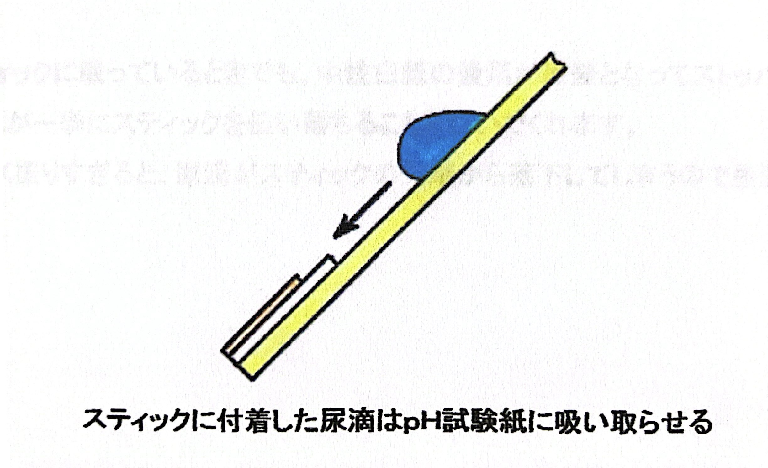 pH測定の練習