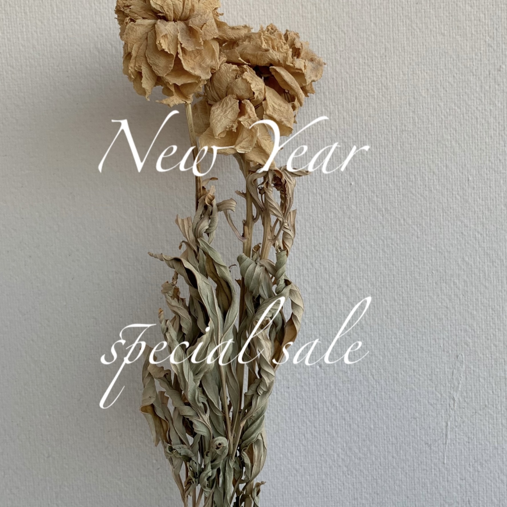 NEW YEAR SALE！！