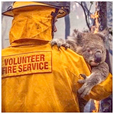 オーストラリアの森林火災の原因と私たちの関係