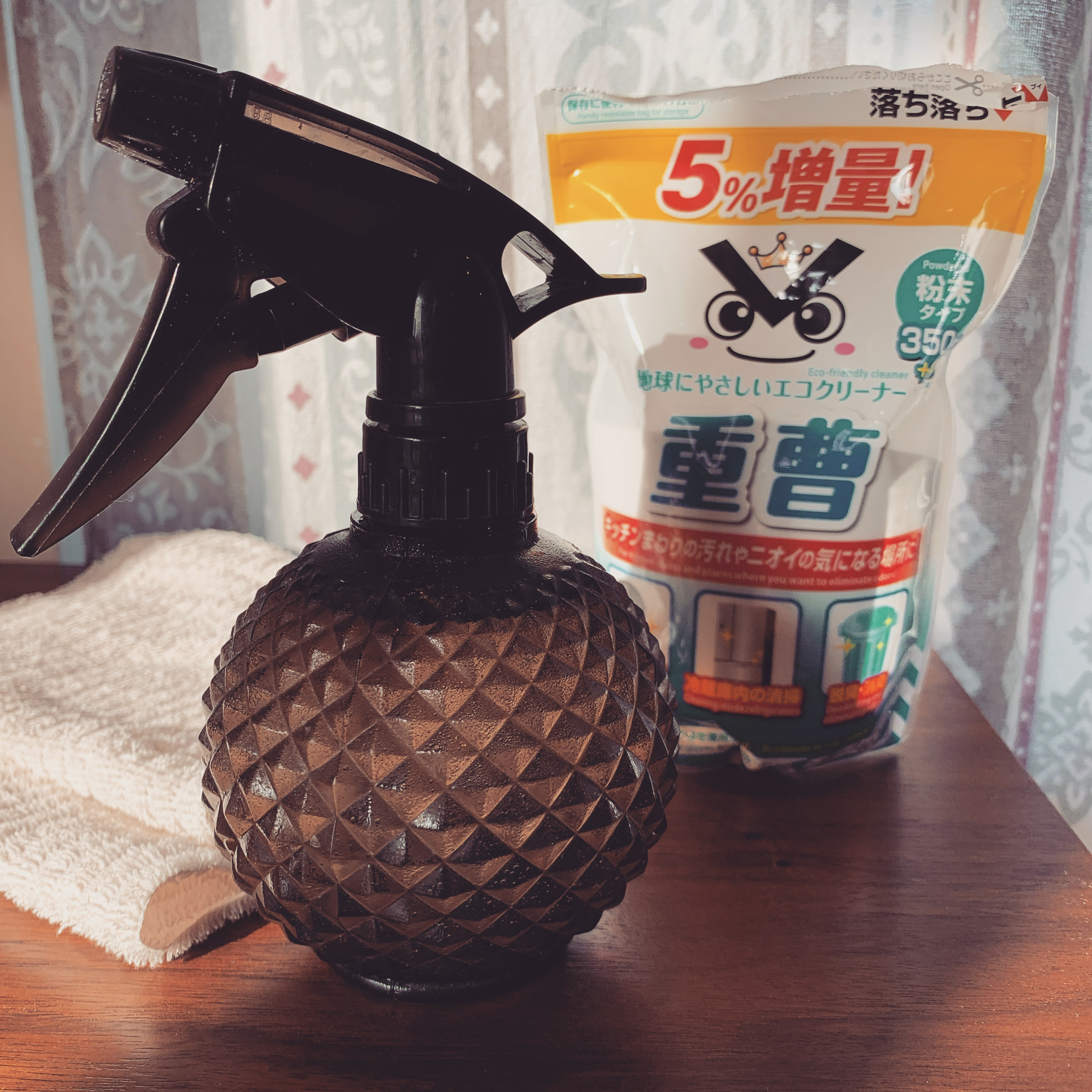 大掃除だいさくせん🧹