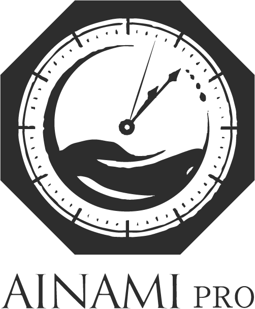 ＜【新ライン誕生】AINAMI PRO＞