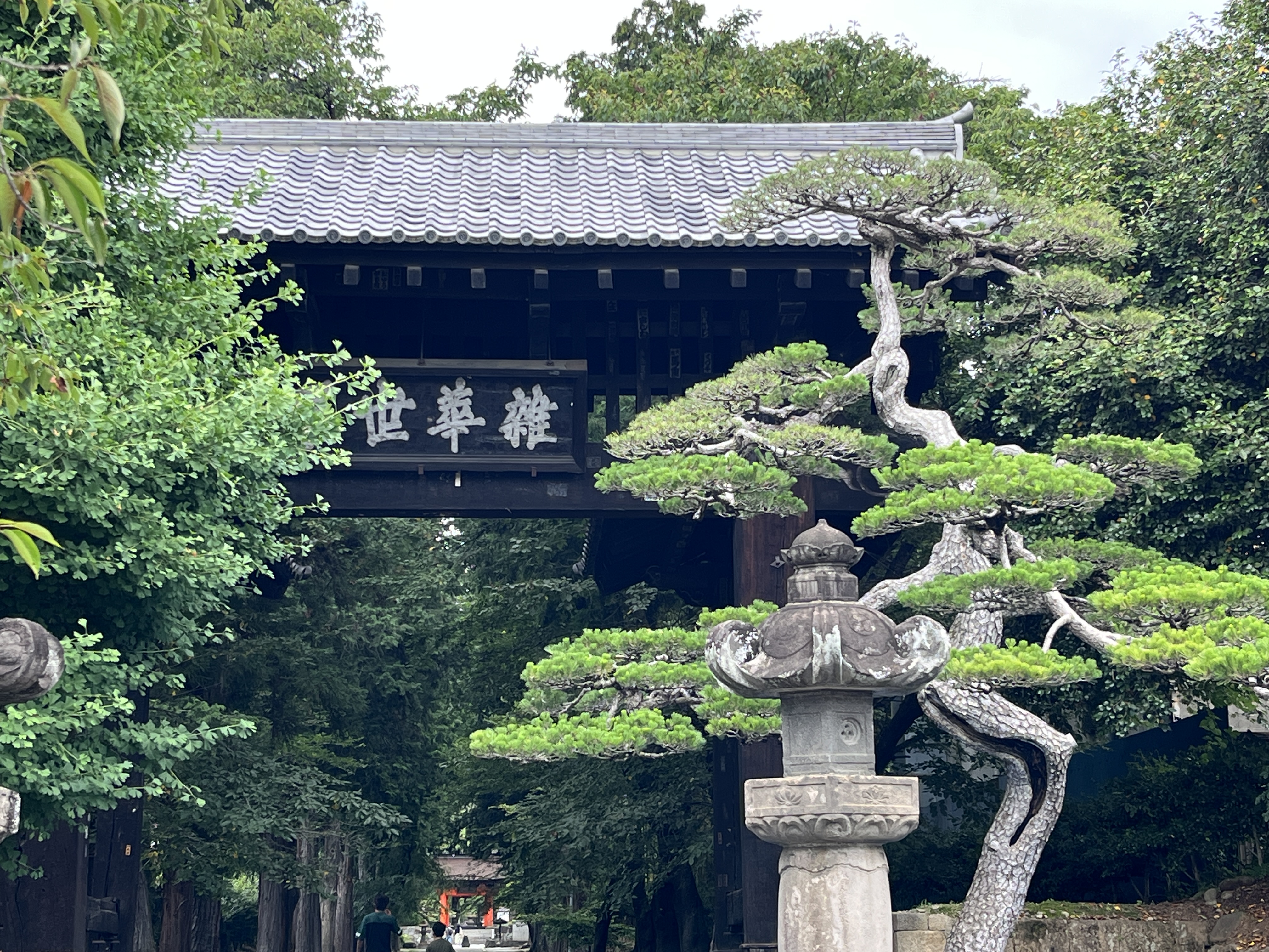 偶然？？山梨、塩山の恵林寺に