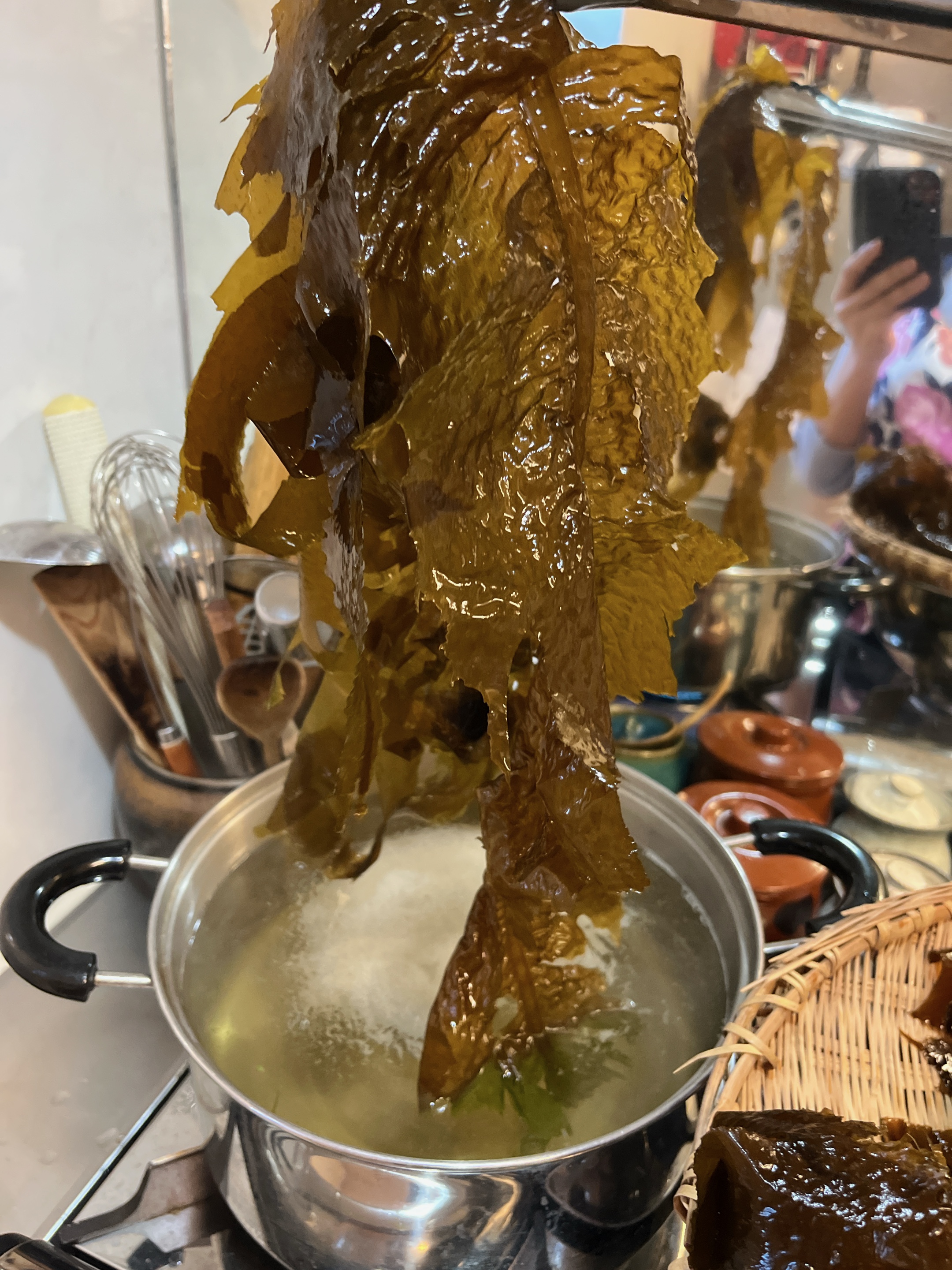 海辺で収穫生ワカメ、かなり美味しい
