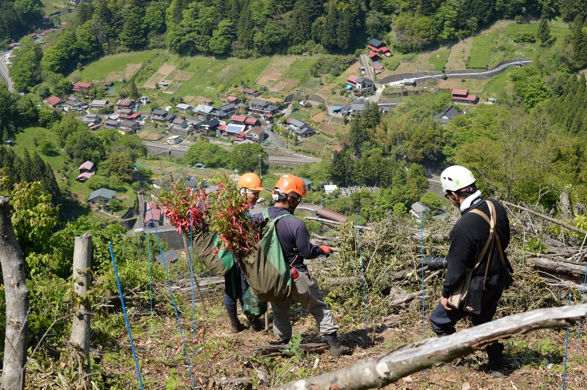 「山の木、とどけ！」はこうやってできた