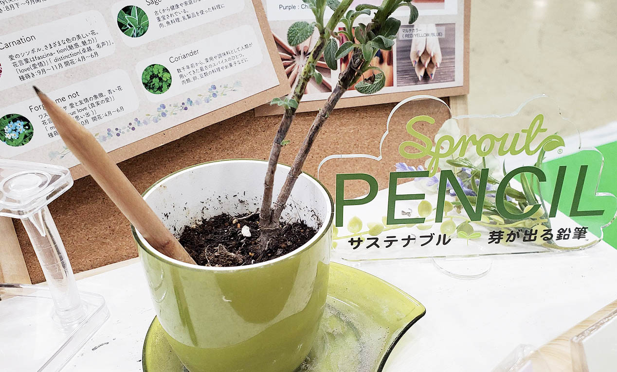 鉛筆を使うことでSDGsを身近に感じるデンマークの芽が出る鉛筆「Sprout Pencil」！