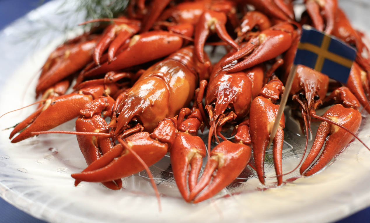 🇸🇪スウェーデンの夏の風物詩といえば「ザリガニパーティー」