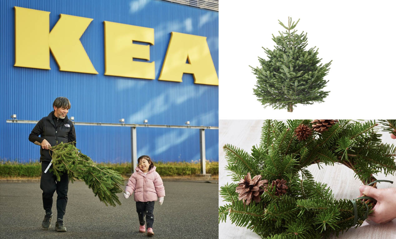 イケアで「本物のモミの木」が販売開始 | リースやスワッグにもぴったりな枝も販売