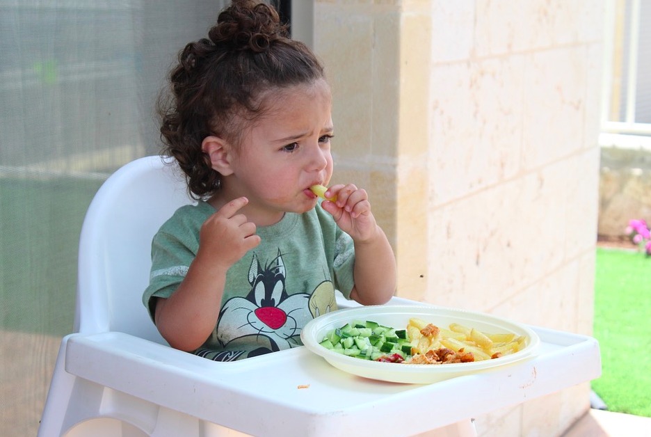 【子育て家族ブログ】子どもがご飯を食べてくれない！偏食期？栄養は足りているの！？