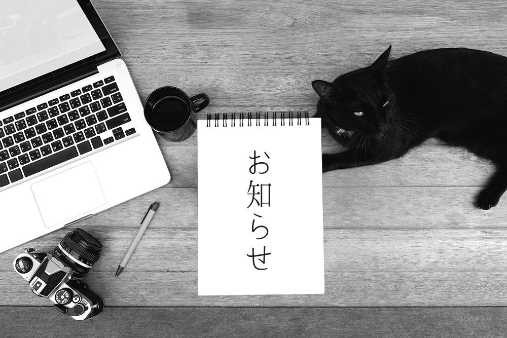 【大切なお知らせ】価格改定のお知らせ(2026年2月4日12:00〜)