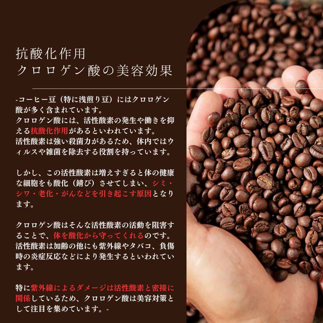自家焙煎コーヒーが美容＆健康に良い理由【 クロロゲン酸 ナイアシン カフェイン 】