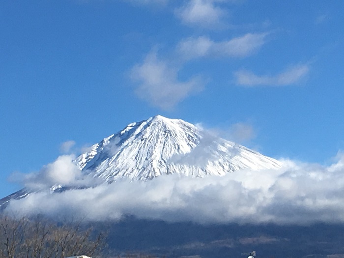 新年