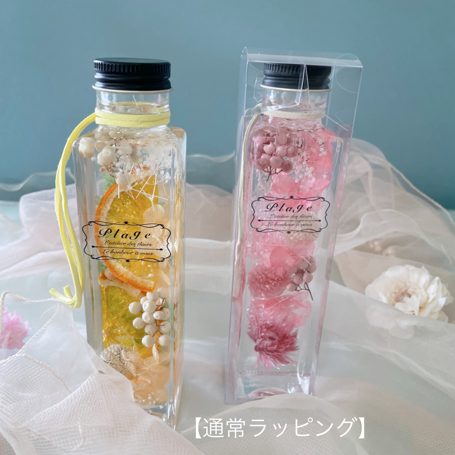 Herbarium出来ました✿︎