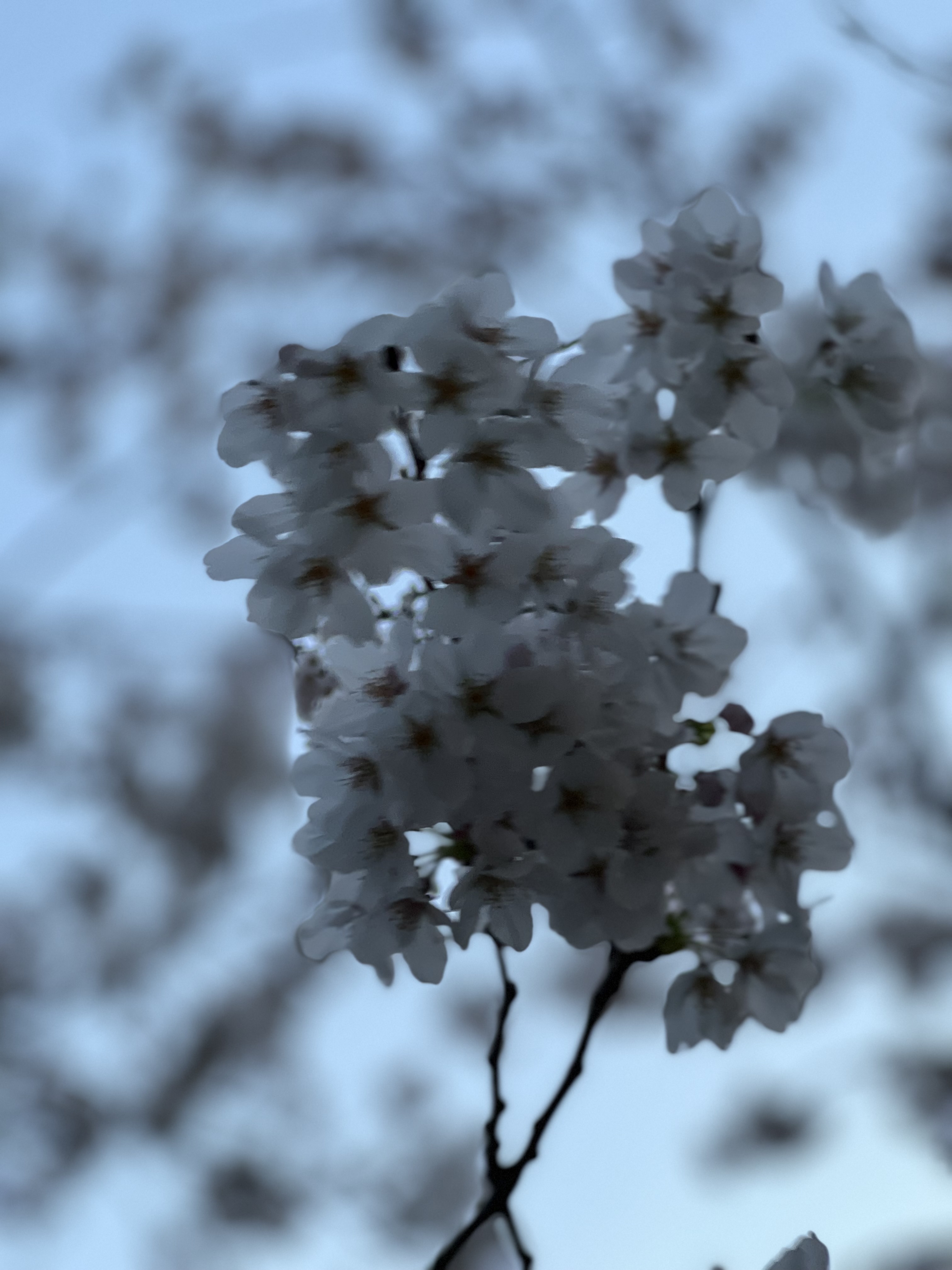 3月・4月発送お休みのお知らせ🙏✨