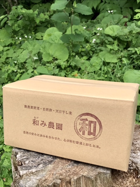 【予告】開けてびっくり玉手箱　本日15時よりカートオープン