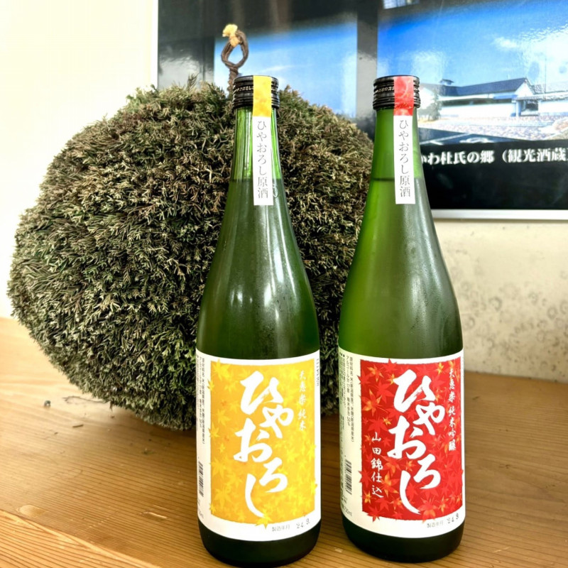 秋の定番「ひやおろし」の発売開始！！