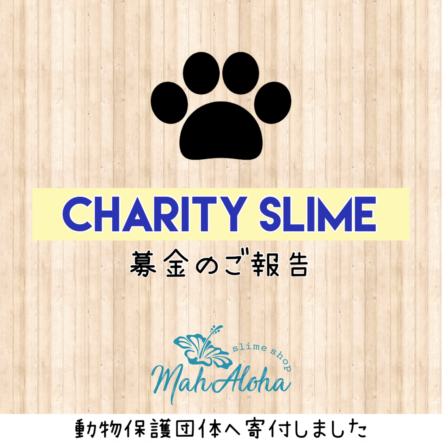 2021.2 -動物保護団体様への募金報告-