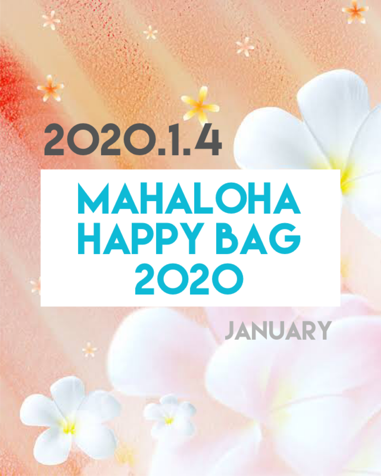 -HAPPY BAG 2020-
