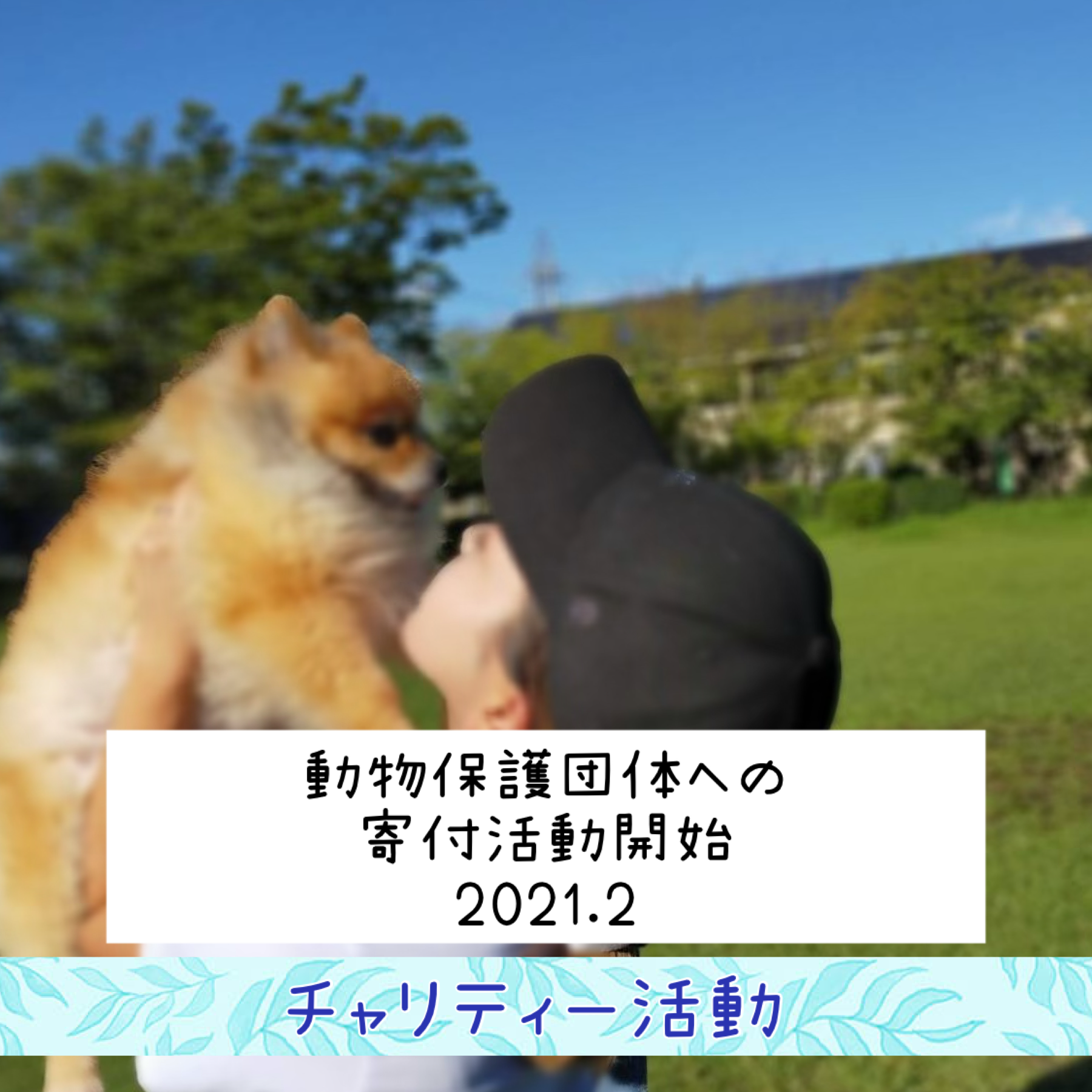 -動物保護団体様へのチャリティー活動開始-