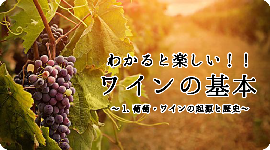 1.葡萄・ワインの起源と歴史について