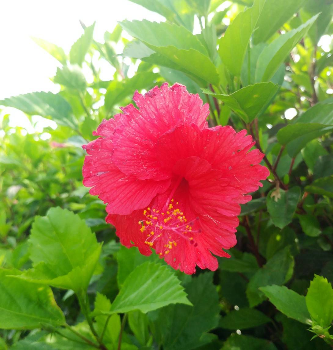 ちょっとお久しぶり更新