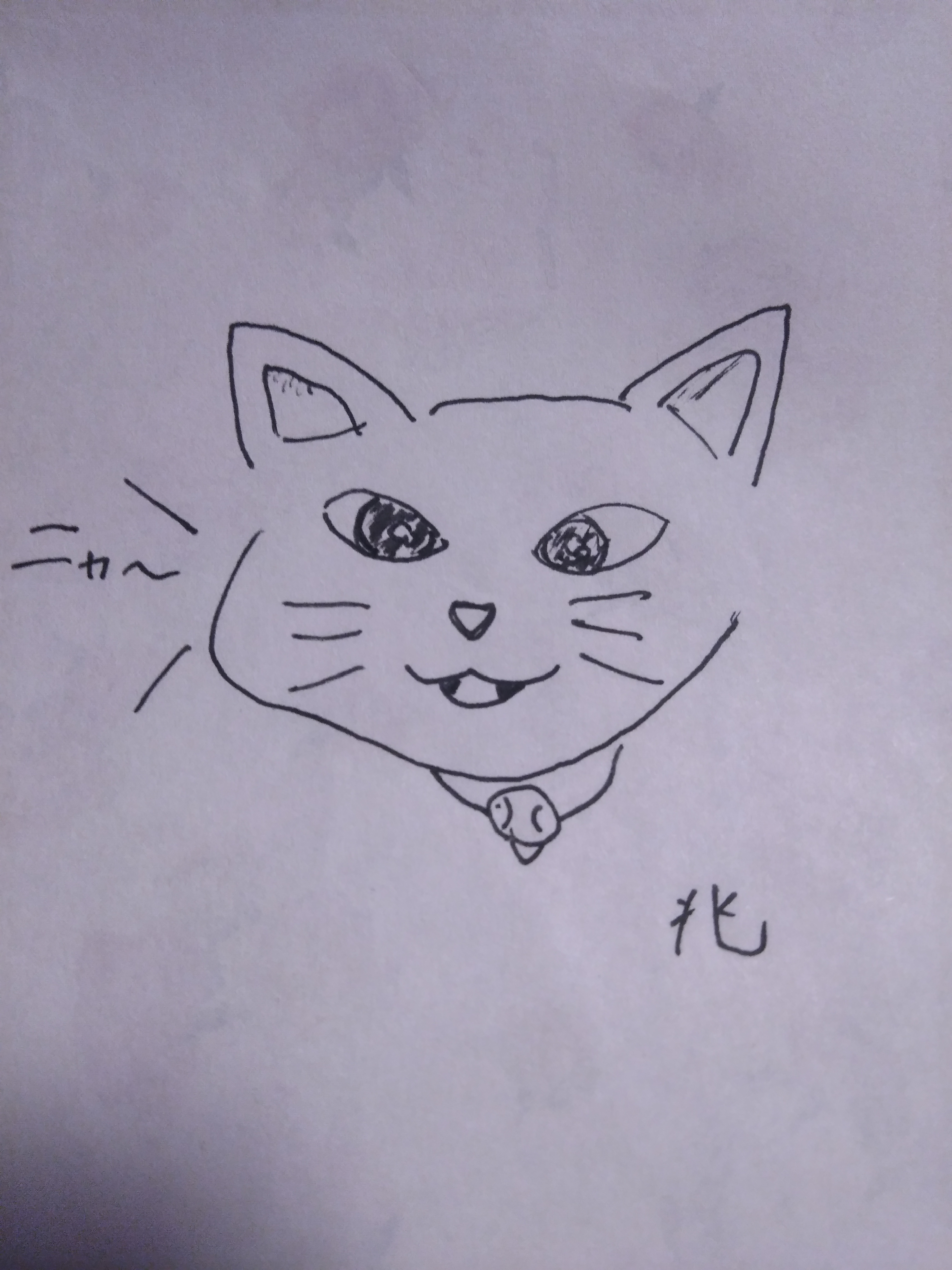 親子で猫を描いたよ