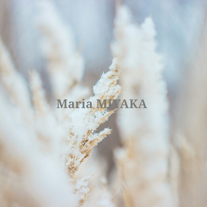 ブログ～2019.6.6.Maria MIYAKA 誕生