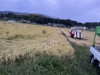 収穫も無事終わり。。。