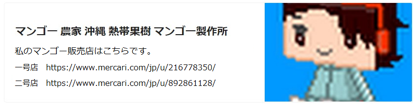 マンゴーの販売始めました