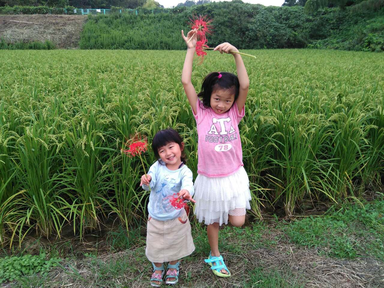 南島に新鮮なオーガニック野菜をお届け『小太朗農園』