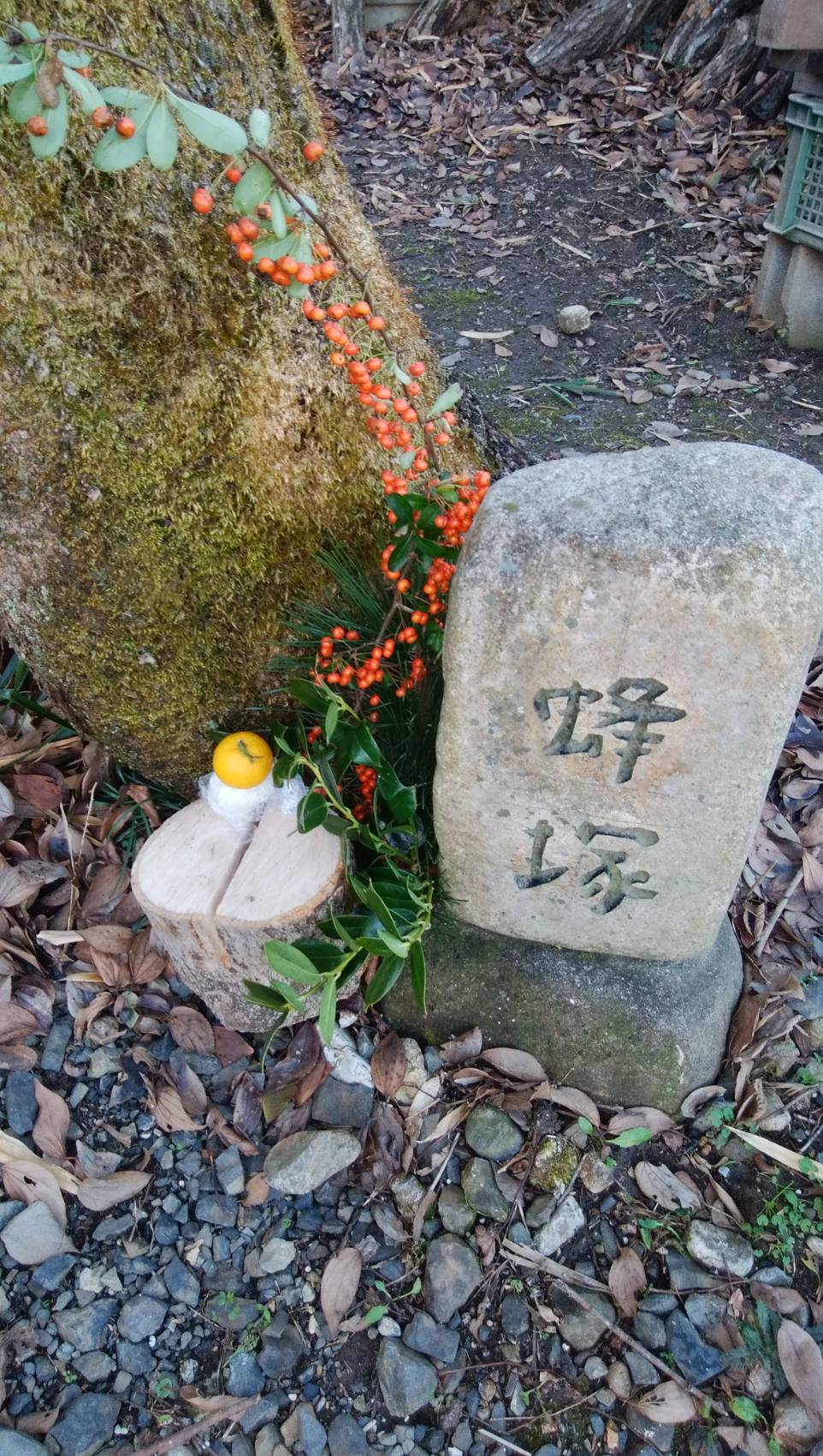丸洞…今年は丸洞箱をふやそう