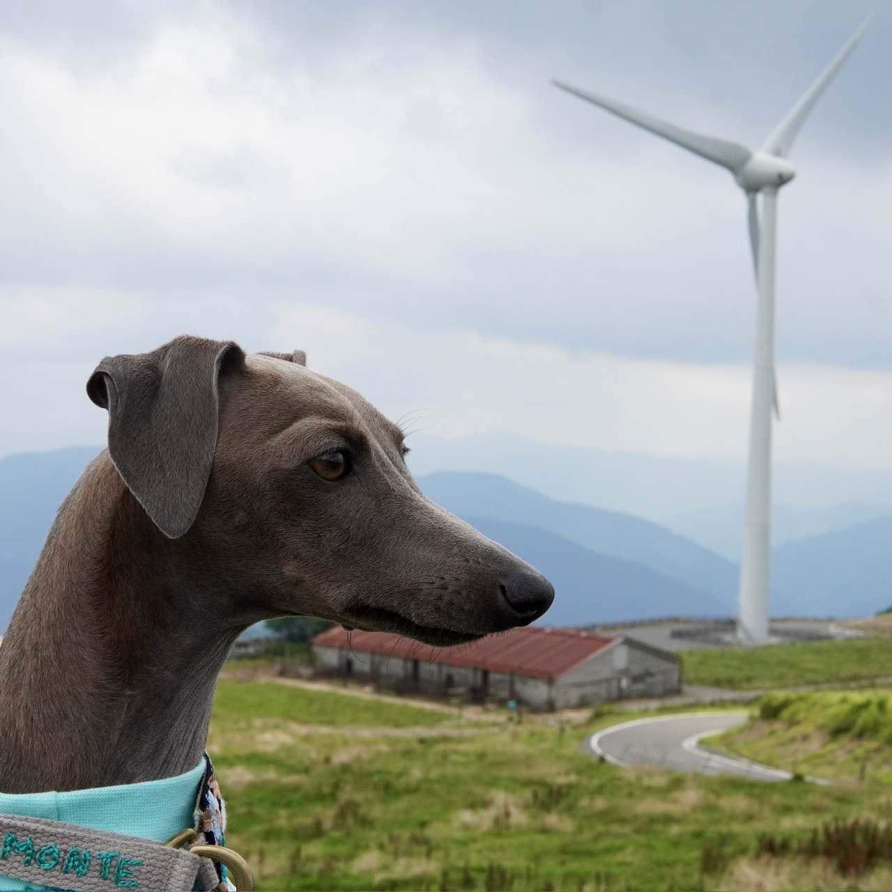 モンテとカルスト台地へ⛰️
