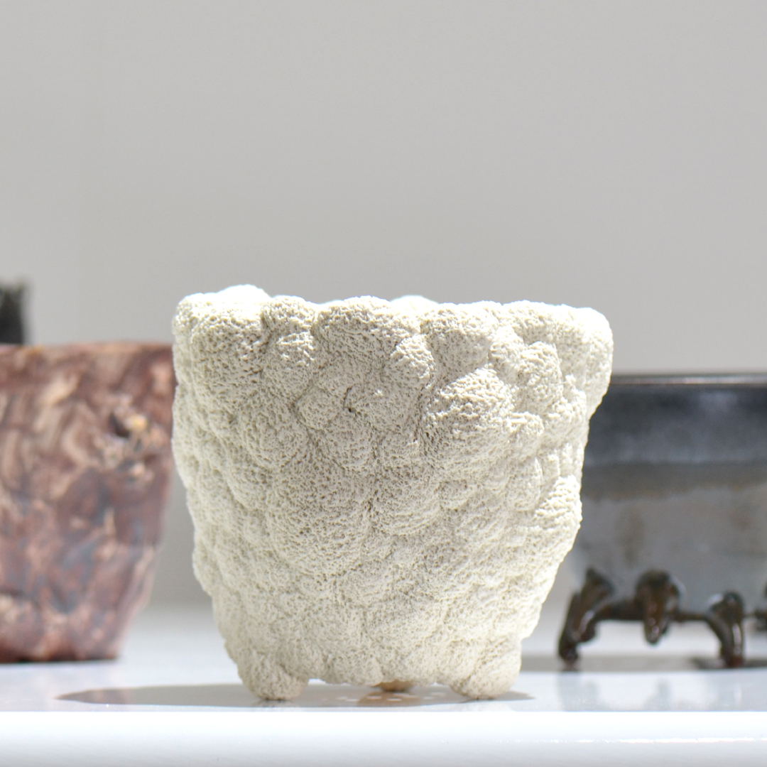7/2（火）20時より、陶芸家イカンソクさんの「Creature POT」を発売いたします。