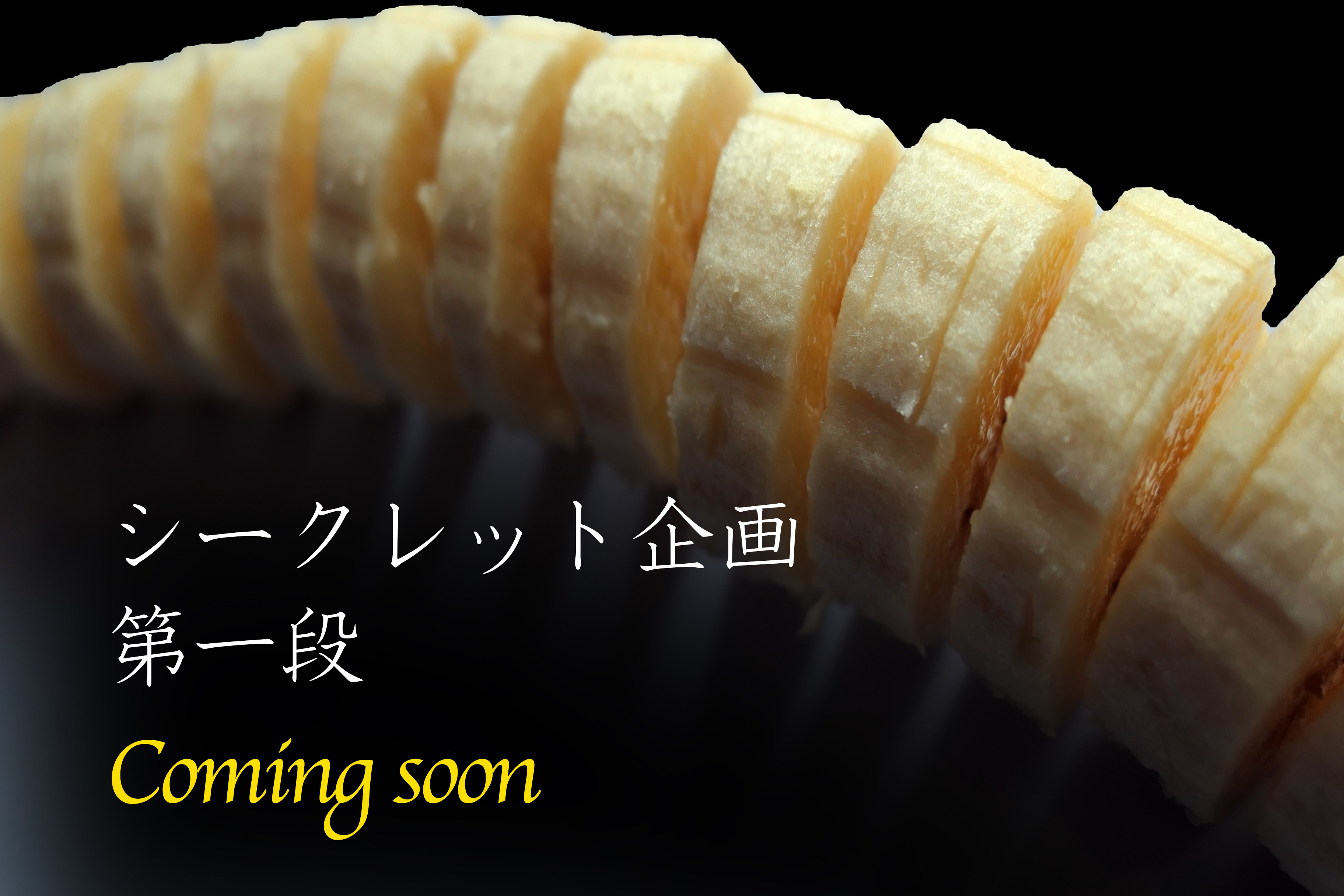 シークレット企画（第一弾）｜TRANS JAPAN	