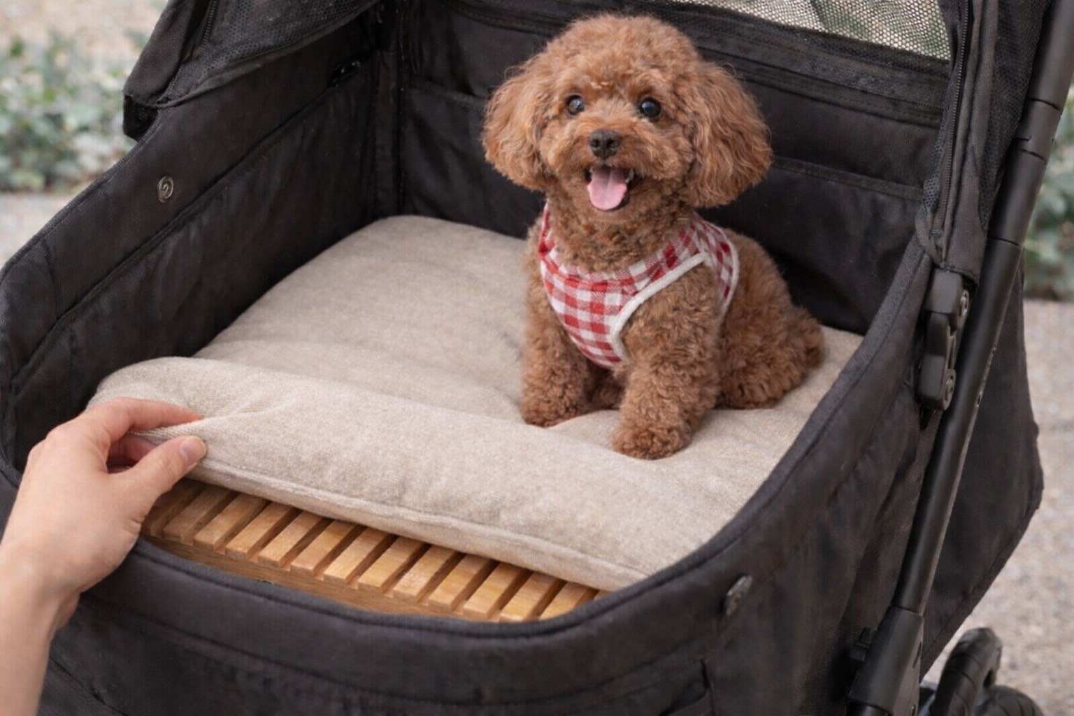 自然の力できれいな空気に!