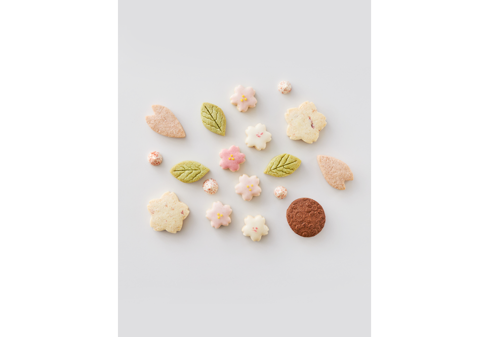 トトスクキッチン・中野エリの「4月のサクラの花 クッキー缶」販売開始になりました！