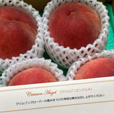 クリムゾンエンジェル、旅立ちました