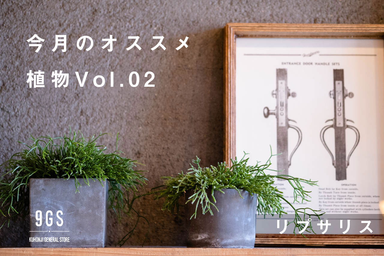 【特集】今月のオススメ、植物 Vol.2