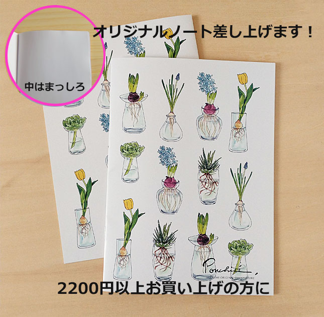 購入特典のノートは水栽培です！