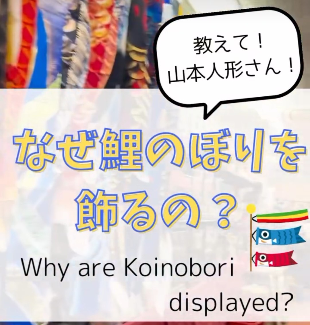 なぜ鯉のぼりを飾るの？