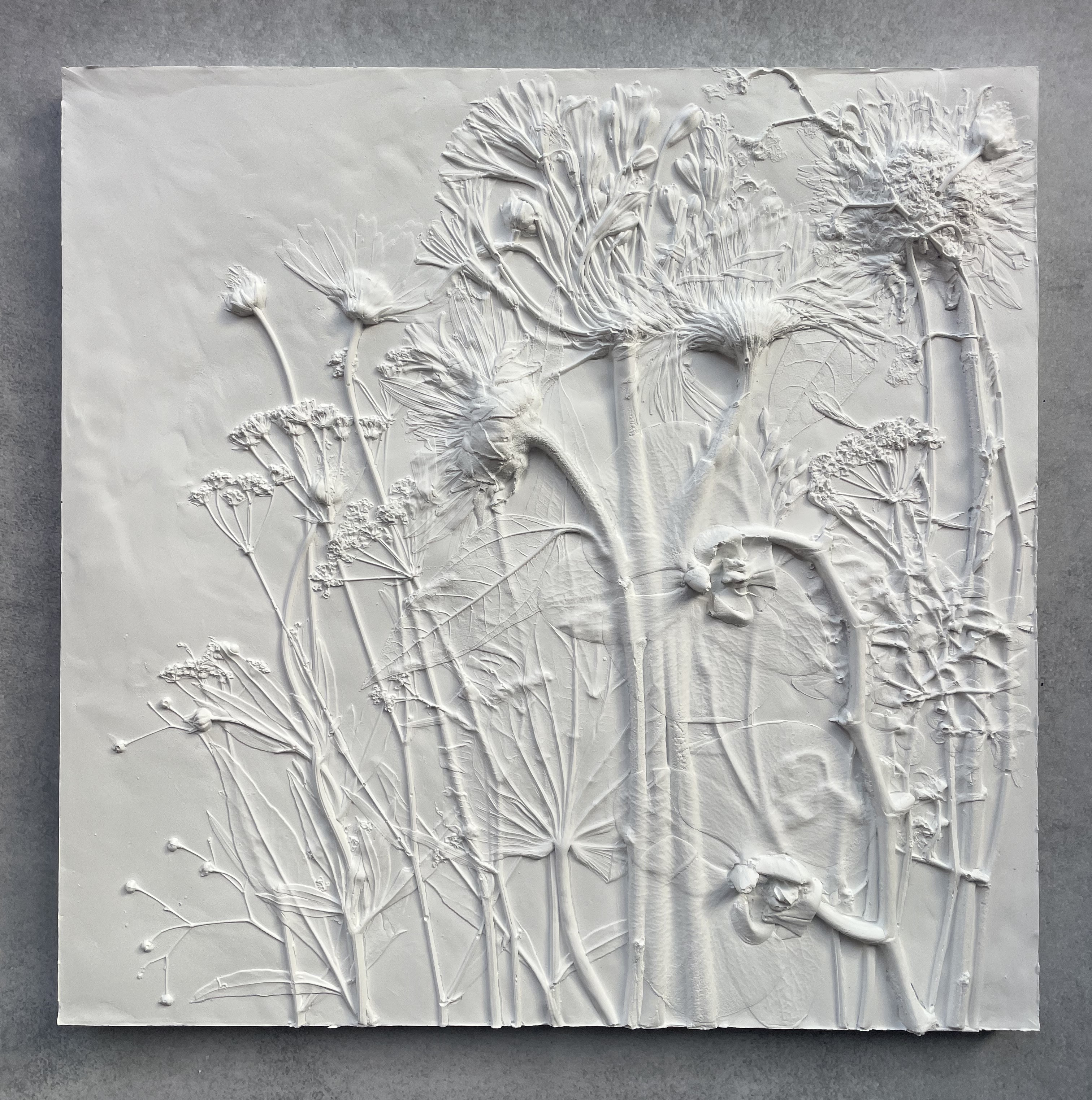 botanical plasterの彩色パターンについて
