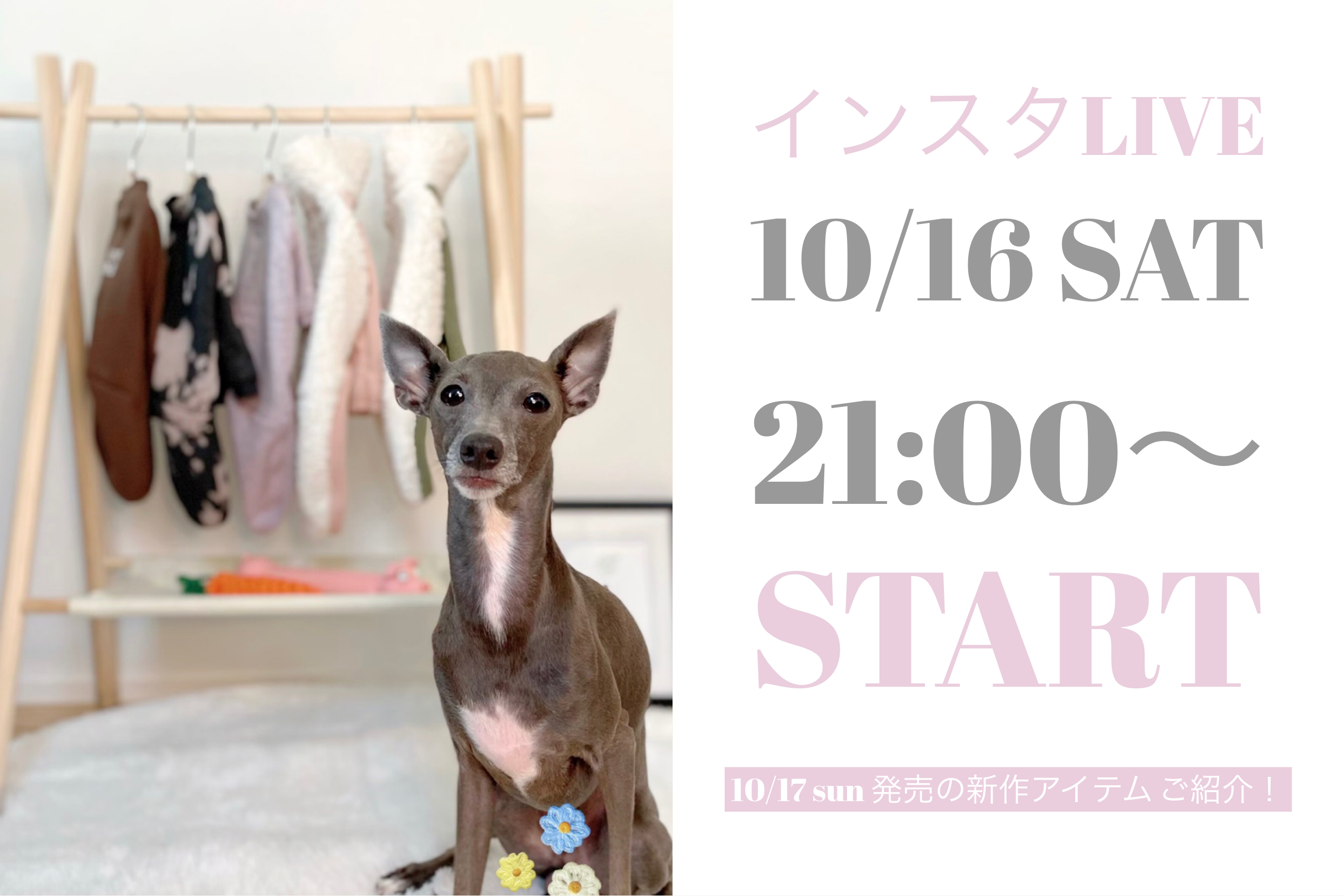 【10/17 sun 】新作アイテム発売＆インスタLIVE配信決定！